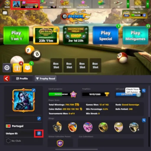 8 Ball Pool Mod Apk 7 Customizable equipment in 8 Ball Pool
